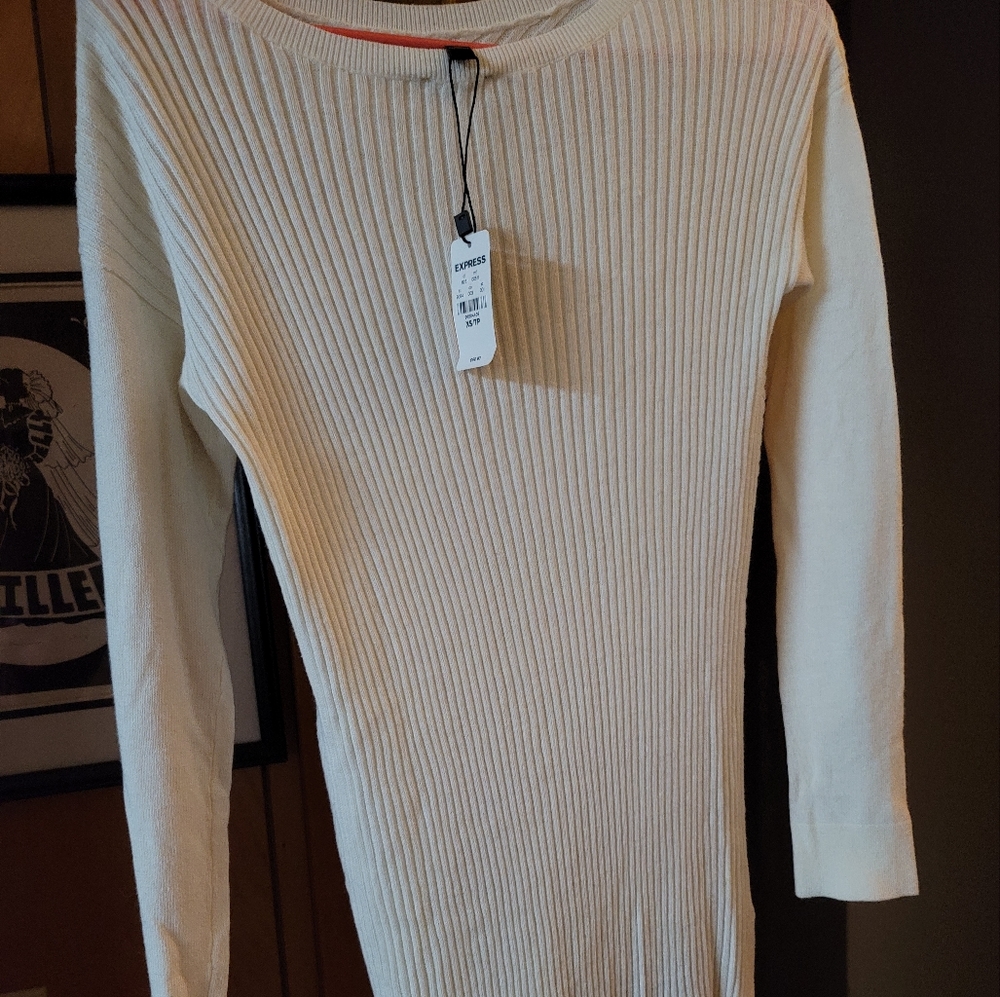 New with tags authentic Express sweater